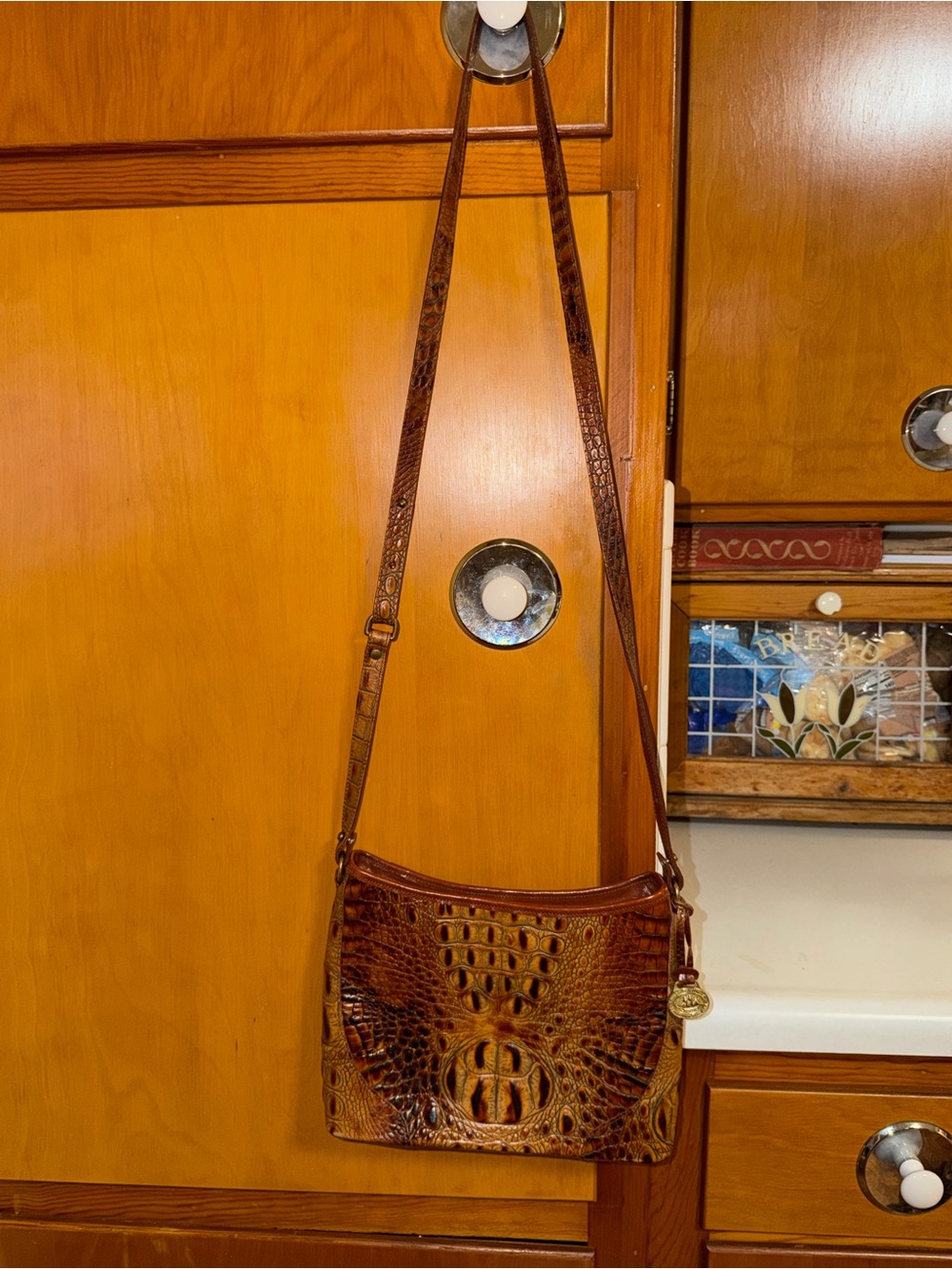 Brahmin Brown Croc-Embossed Leather Crossbody